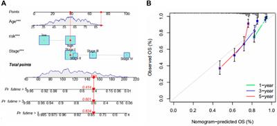 Identification of subtypes of clear cell renal cell carcinoma and construction of a prognostic model based on fatty acid metabolism genes